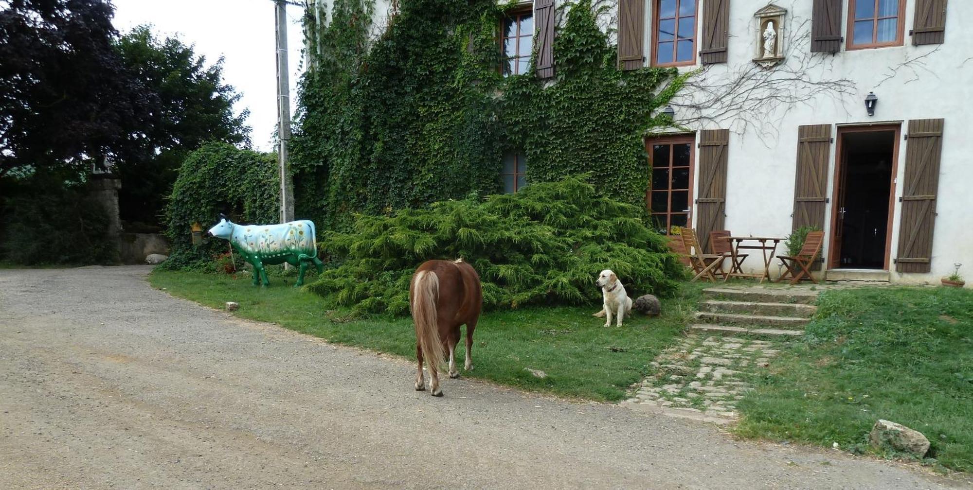Ferme Du Montheu Bed and Breakfast Dommartin sous Amance Εξωτερικό φωτογραφία